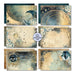 3Quarter Designs Celestial Skies 6x4 Card Pack - Root & Company
