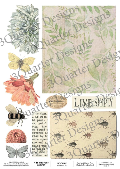 3Quarter Designs - Mini Project Sheet - Botany - Root & Company
