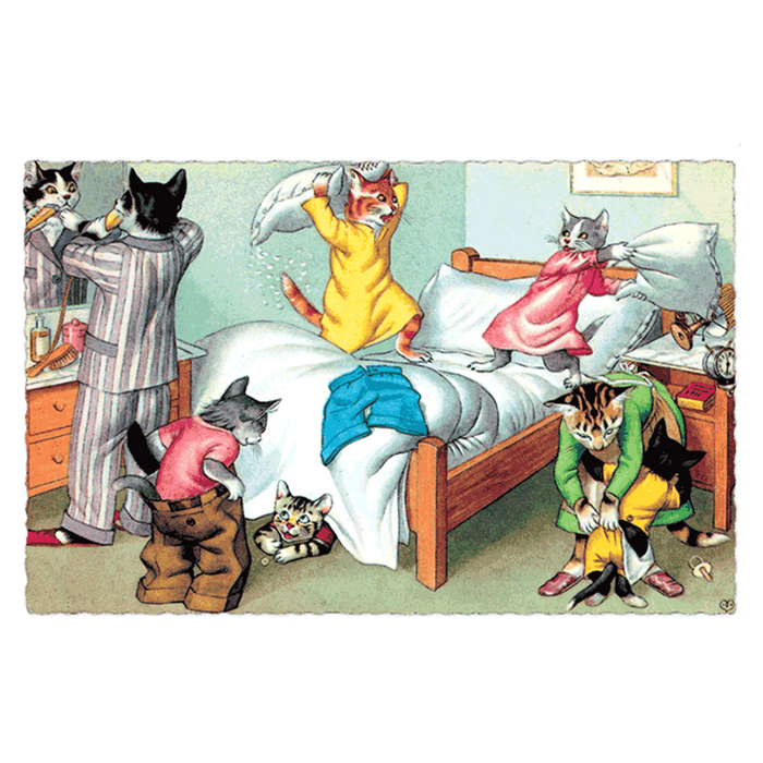 Delightfully Dressed Cats Postcard Box - Everyday Boxed Postcards - Root & Company