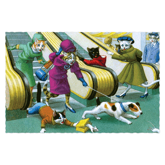 Delightfully Dressed Cats Postcard Box - Everyday Boxed Postcards - Root & Company