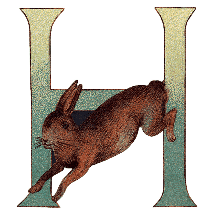 Animal Alphabet - Everyday Sticker Box - Root & Company