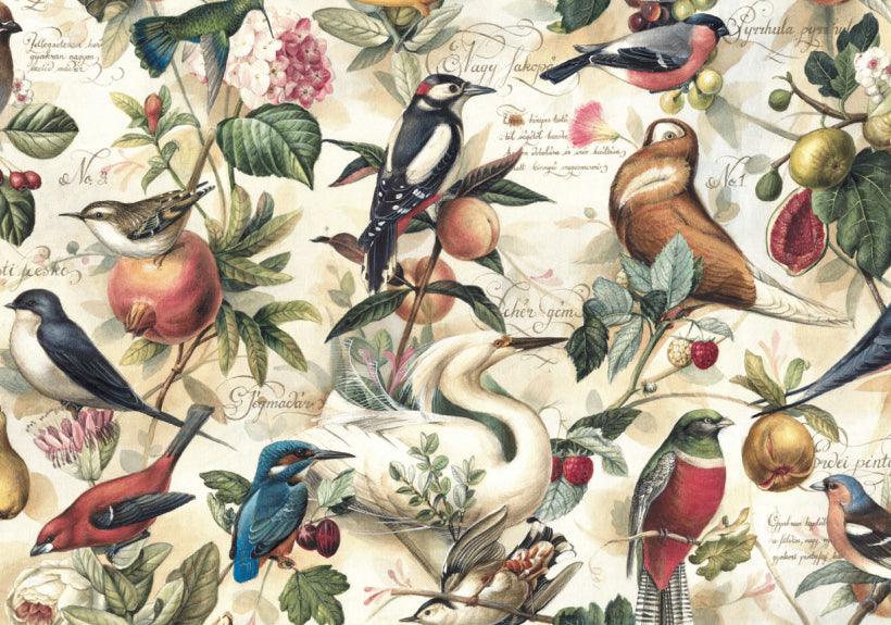 Bomo Art Paper - Wrapping Paper - Birds & Fruits - Root & Company