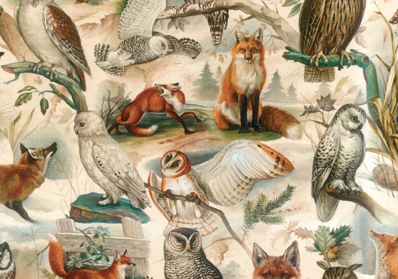 Bomo Art Paper - Wrapping Paper - Fox & Owls - Root & Company