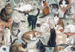 Bomo Art Paper - Wrapping Paper - The Nine Lives of Cats - Root & Company