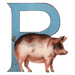 Animal Alphabet - Everyday Sticker Box - Root & Company