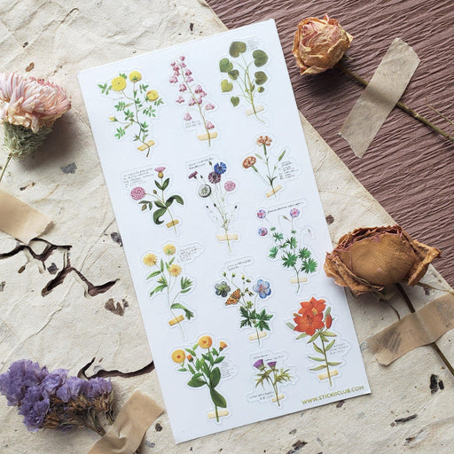 Mementos of Spring - Root & Company