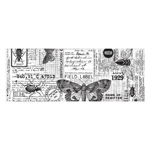Tim Holtz Idea-ology ENTOMOLOGY Collage Paper - Root & Company