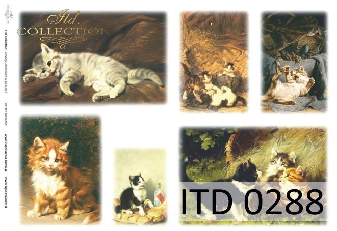ITD Collection - Cats - Classic Paper