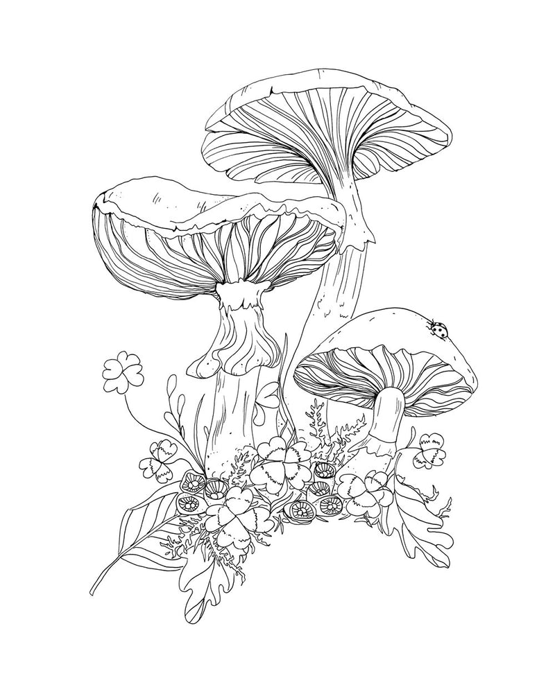 Rachel Reinert - Woodland Wonderland: A Tranquil Coloring Retreat - Coloring Book