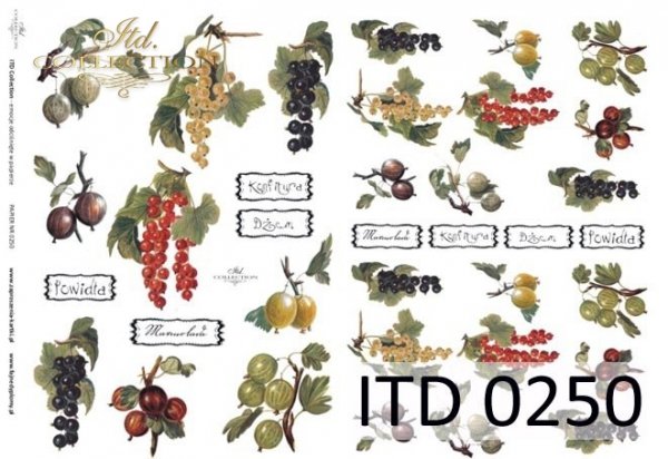 ITD Collection - Gooseberries, Black Currants, Red Currants, White Currants - Classic Paper