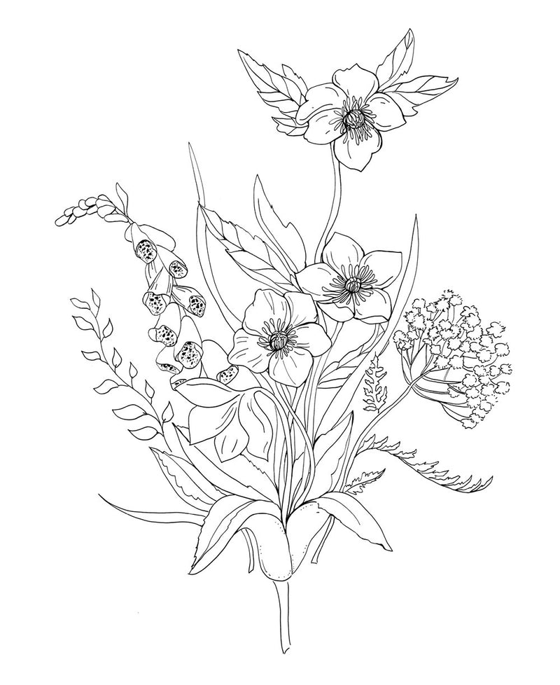 Rachel Reinert - Woodland Wonderland: A Tranquil Coloring Retreat - Coloring Book