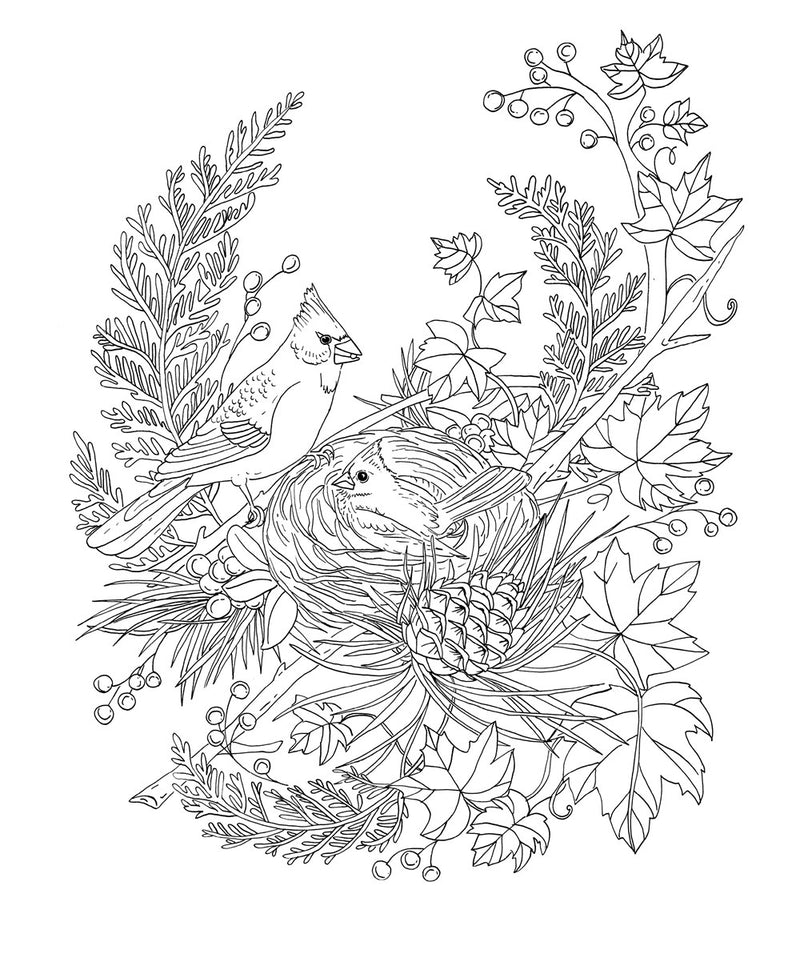 Rachel Reinert - Woodland Wonderland: A Tranquil Coloring Retreat - Coloring Book