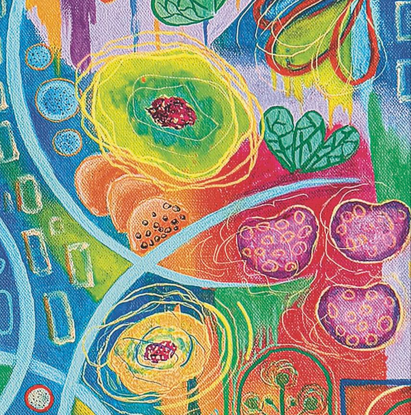 Art & Fable Puzzle Company - Nature Spirals - 1000pc Velvet-Touch Puzzle