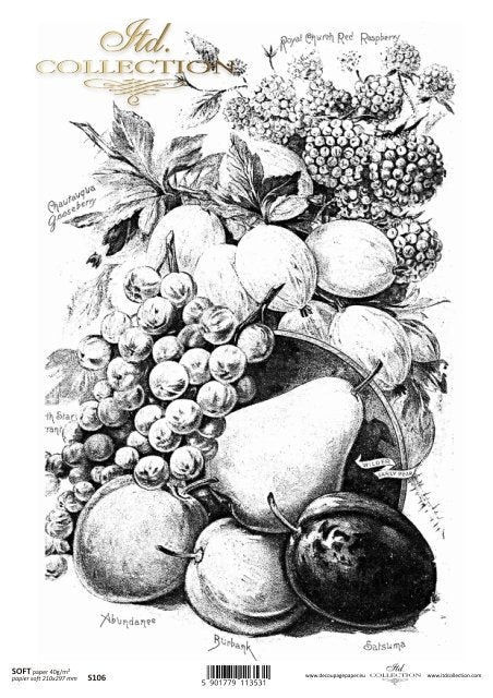 ITD Collection - Fruit - Soft Paper