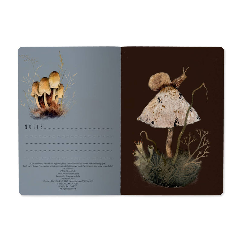 BV by Bruno Visconti - Mushroom Dream