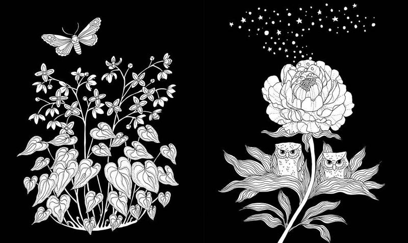 Maria Trolle - Nightfall Coloring Book