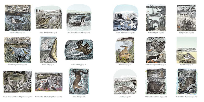 Angela Harding - Countryside Colouring Book