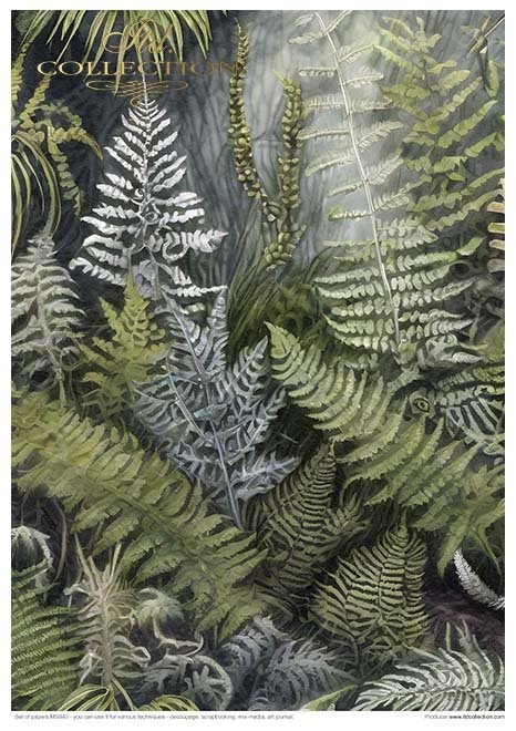 ITD Collection - Mysterious Creatures Creative Set