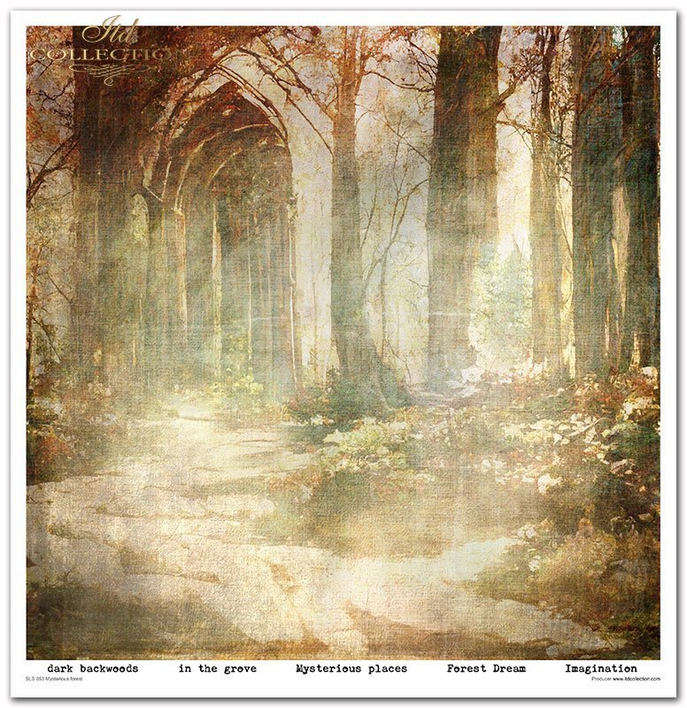 ITD Collection - Mysterious Forest Scrapbooking Papers