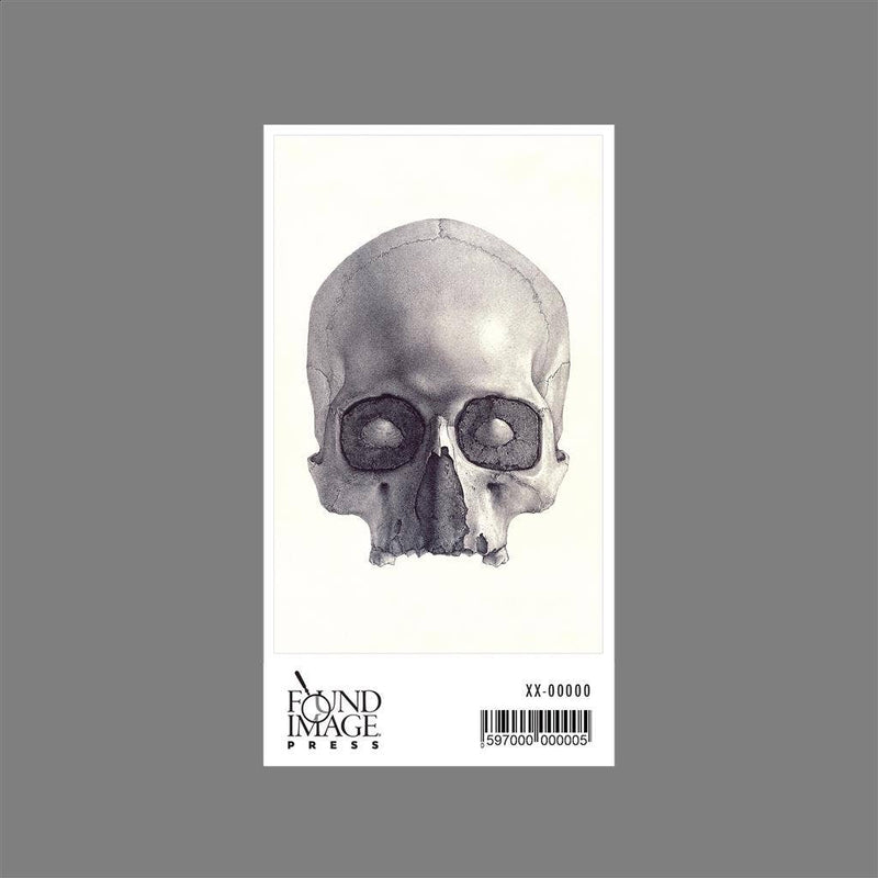 Found Image Press - Sticker - Front View Human Skull