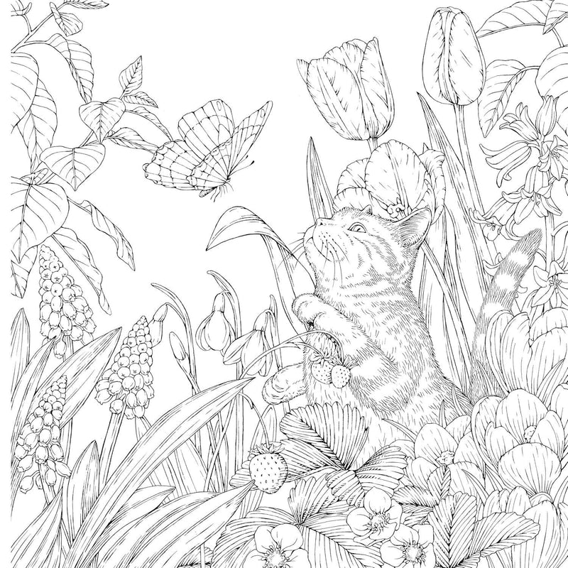 Kanoko Egusa - Leon's Journey Coloring Book - A Curious Cat's Adventure