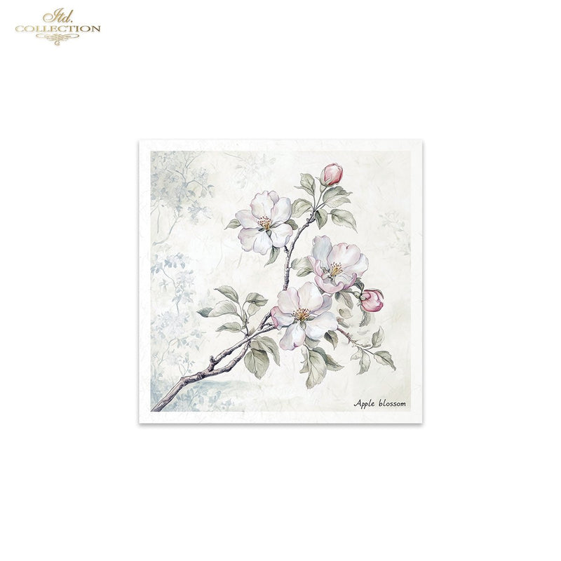 ITD Collection - Rice Paper Set Mini - Floral Shabby Chic - RSM176