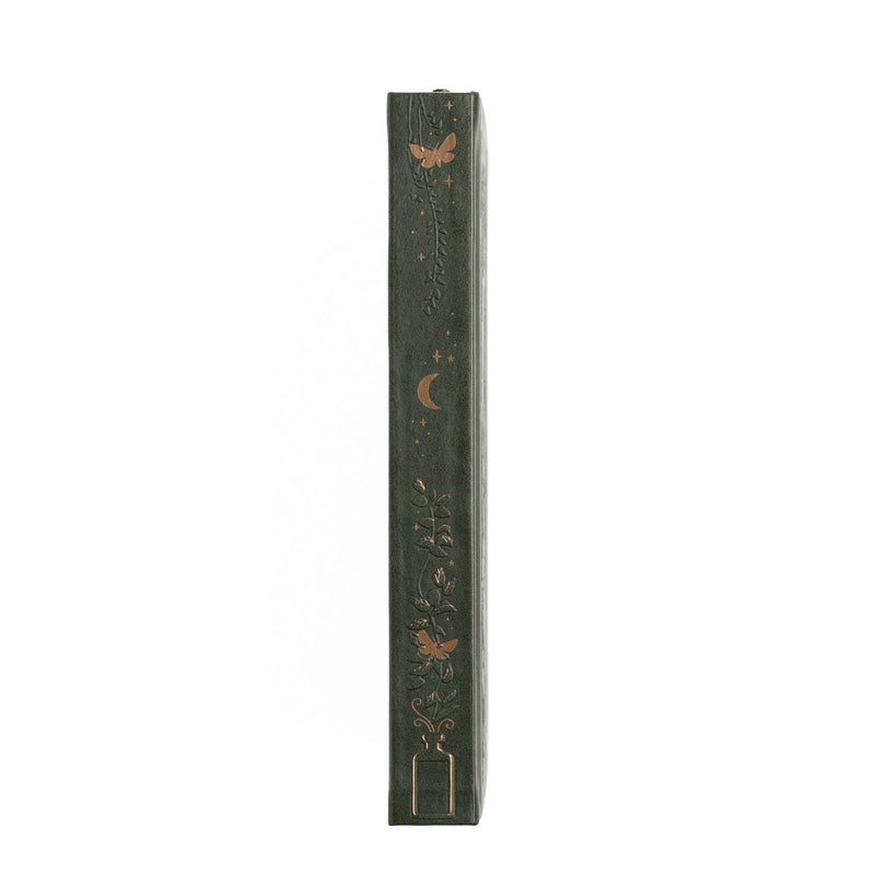 Archer and Olive - Apothecary Shelf A5 Notebook