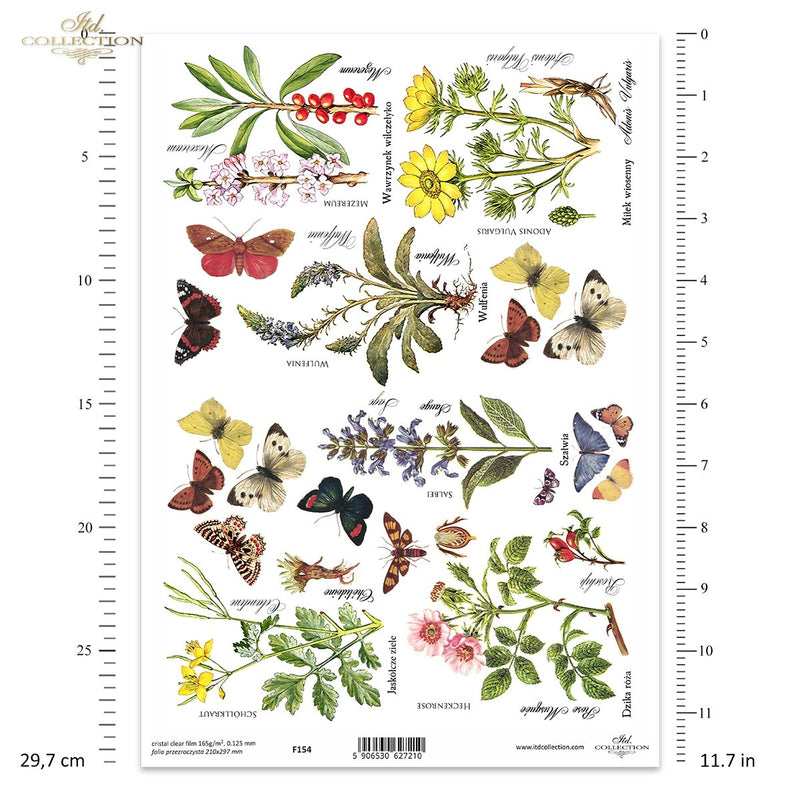 ITD Collection - Clear Film - F154