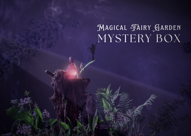 Magical Fairy Garden Mystery Box