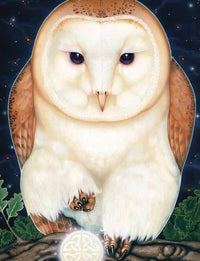 Ravynne Phelan - Seeker Journal