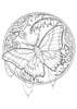 Cally-Jo - Tattoo Wonderlands Coloring Book
