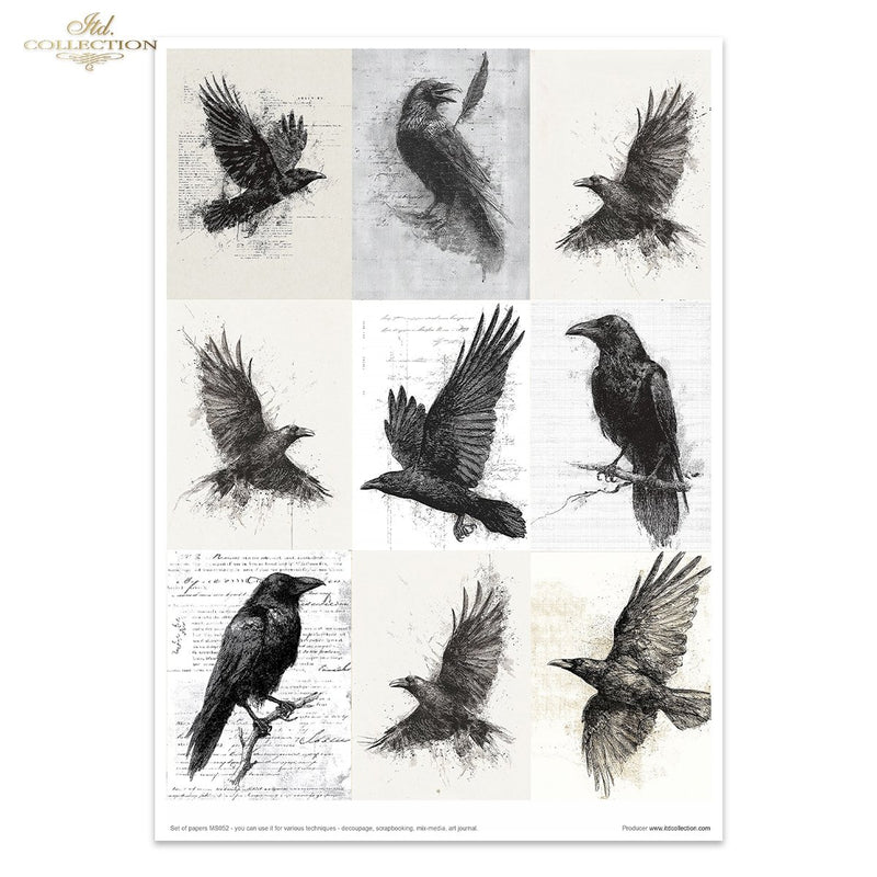 ITD Collection - Light & Shadow Part 2 Creative Set