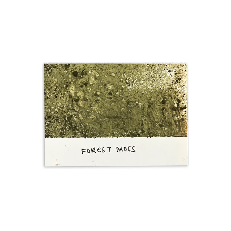 Ranger Ink - Tim Holtz - Distress Spray Stain - Forest Moss