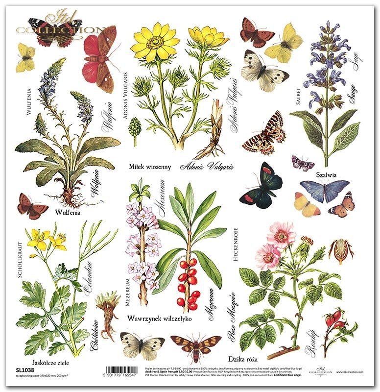 ITD Collection - Herbarium - Wildflowers & Butterflies - Scrapbooking Single Sheet