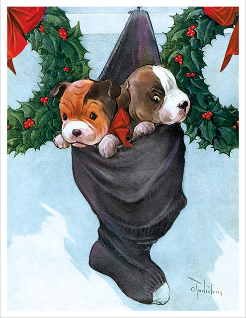 Laughing Elephant - Merry Christmas - Print Portfolio