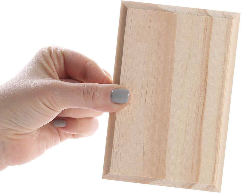 Root and Company - Bag of 3 Assorted Shape Unfinished Wood Plaques