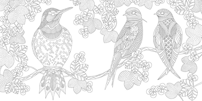 Millie Marotta - Beautiful Birds and Treetops Coloring Book