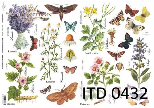 ITD Collection - Flower Field - Classic Paper