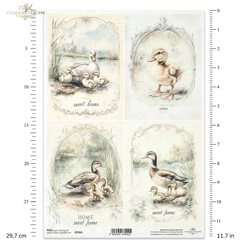 ITD Collection - Cottage in the Country - Rice Paper - R2564