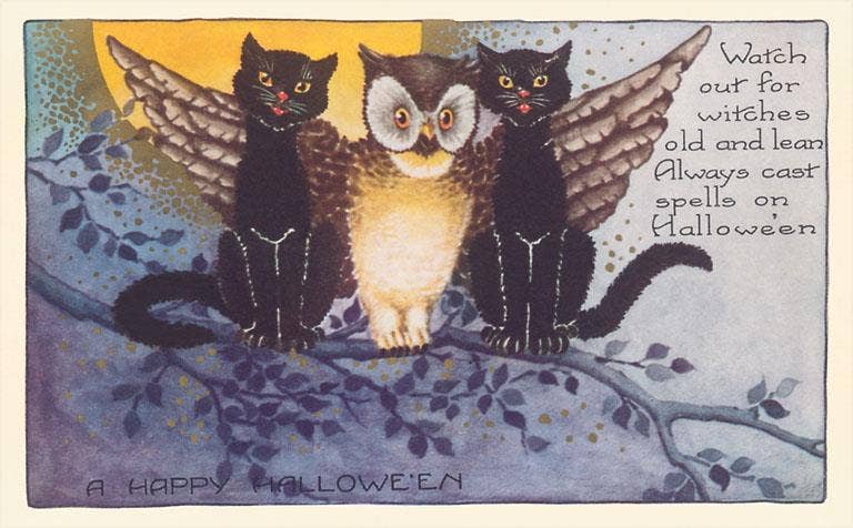 Found Image Press - Postcard - Owl and Black Cats