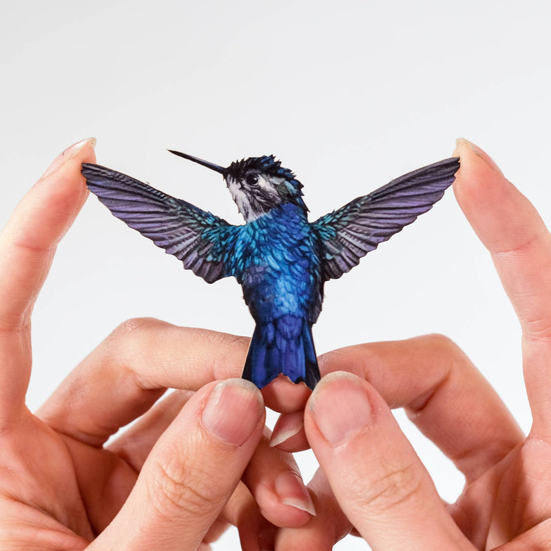 Moth and Myth - Flutter Hummingbird 3-Pack