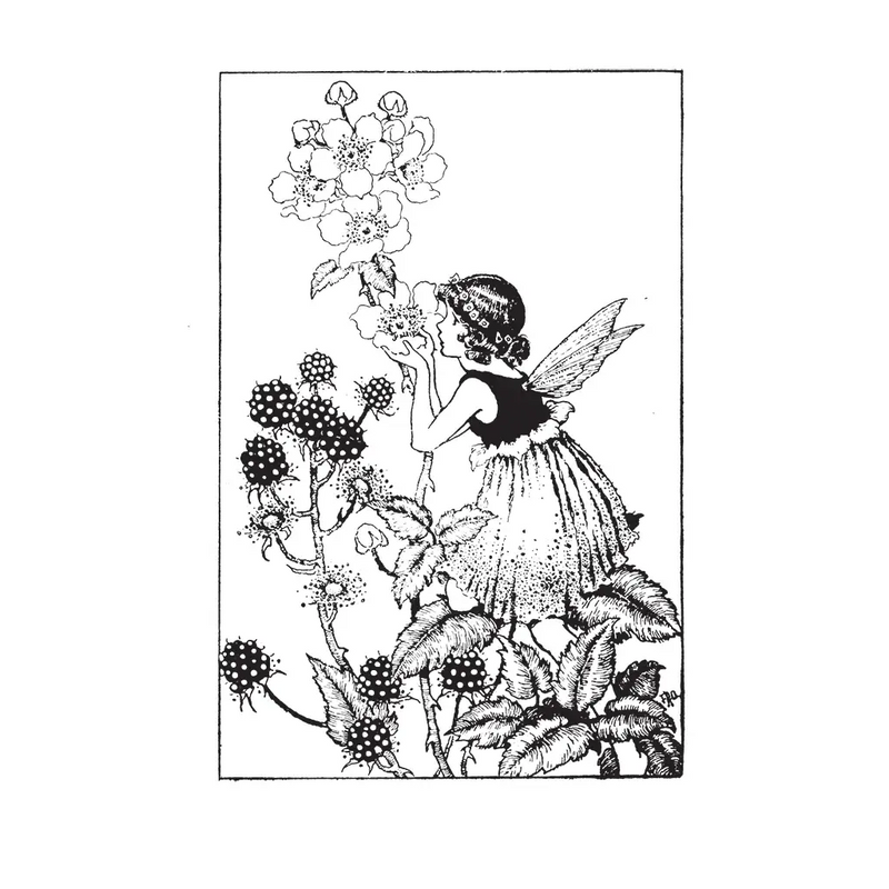 Laughing Elephant - Fairies - Cards to Color Cards