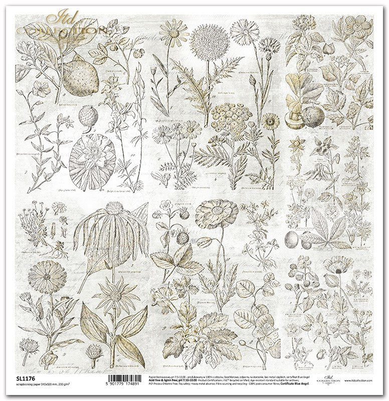 ITD Collection - SL1176 Scrapbooking Single Sheet