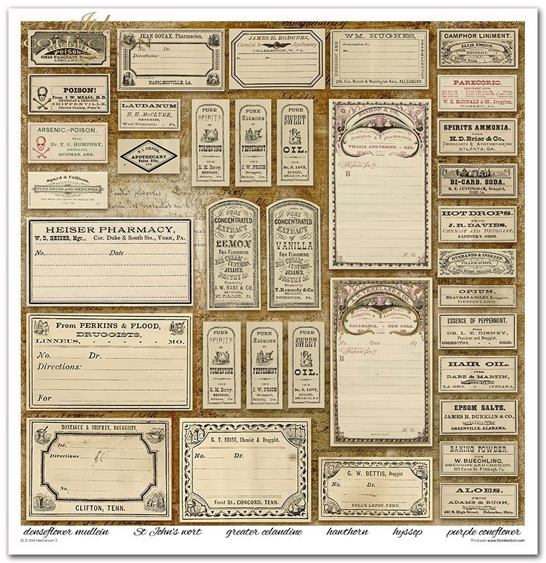 ITD Collection - Herbarium 2 Scrapbooking Papers