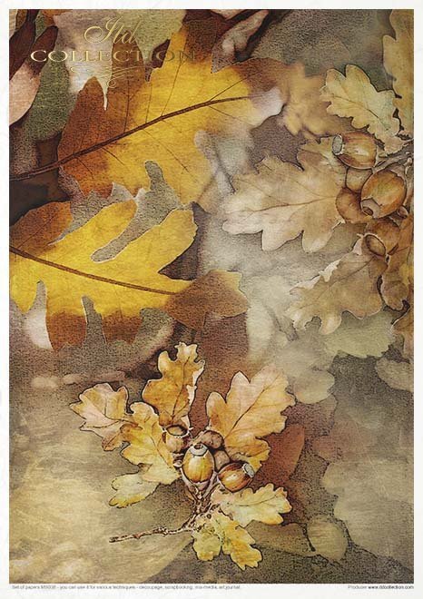 ITD Collection - Autumn Love Story Creative Set