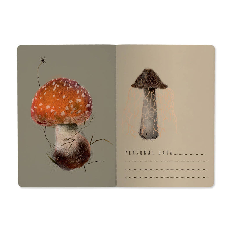 BV by Bruno Visconti - Gourmet Mushrooms