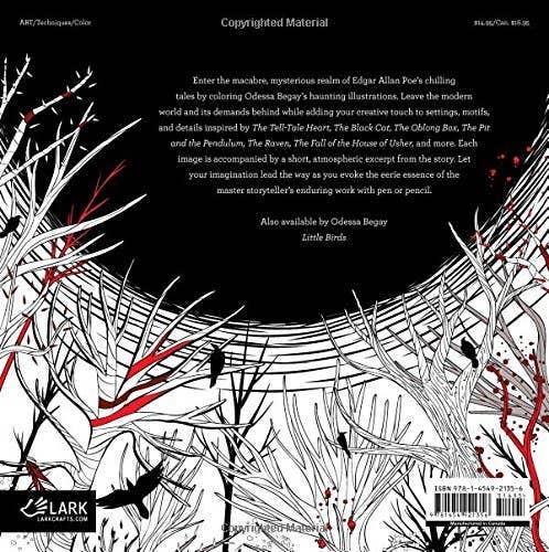 Odessa Begay - Edgar Allan Poe - An Adult Coloring Book