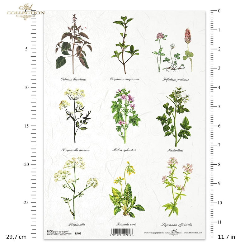 ITD Collection - Herbalist - Rice Paper - R0402