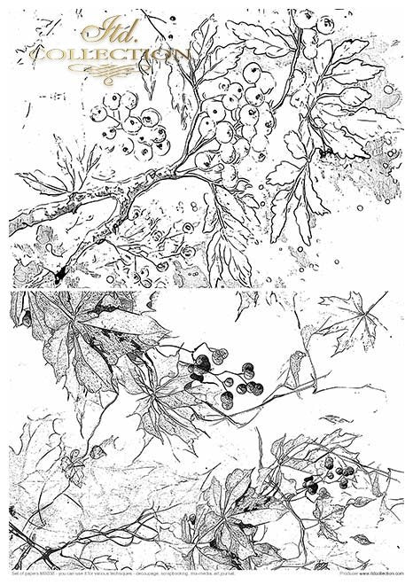 ITD Collection - Autumn Love Story Creative Set