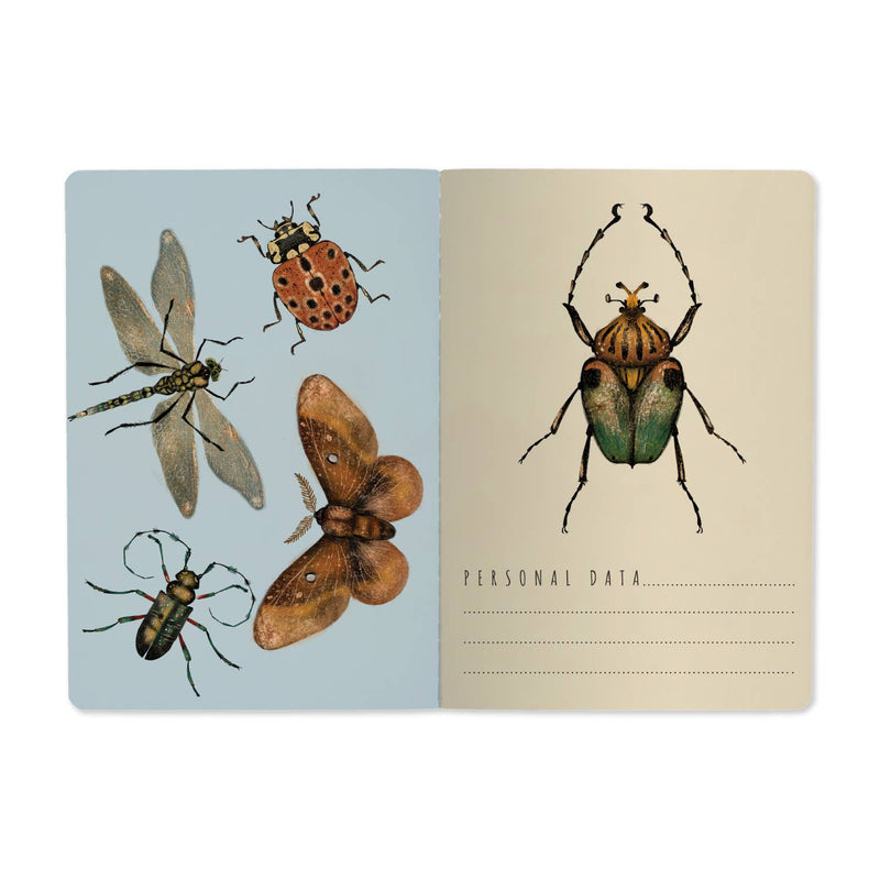 BV by Bruno Visconti - Entomology